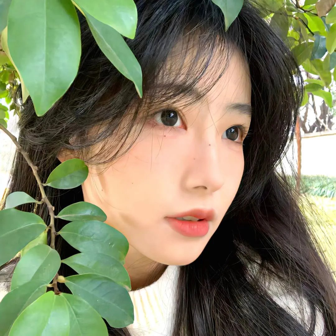葛莱哥里的女友
