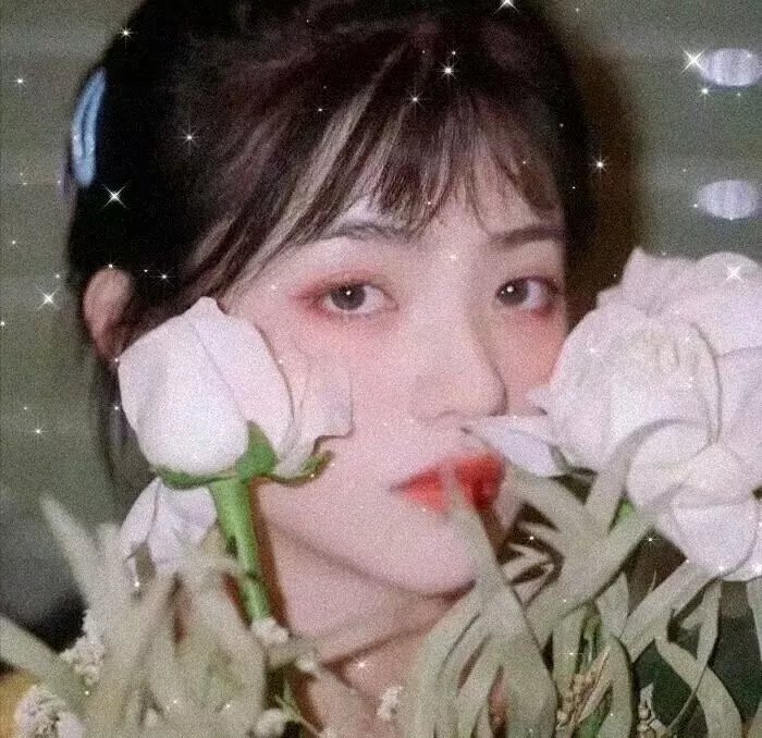 落花时节又逢君